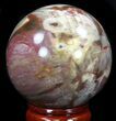 Colorful Petrified Wood Sphere #36959-2